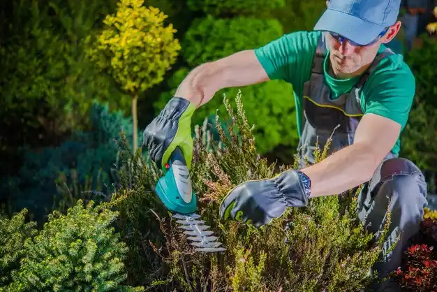 landscaping services Ages